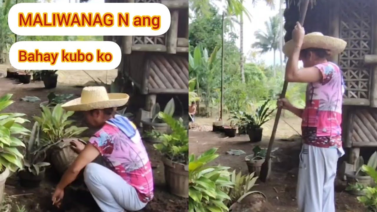 МОЙ ДОМ СВЕТЛЫЙ, МОЕ ОКРУЖЕНИЕ ЧИСТОЕ@ChiamakaOkoli @aileenkalev5809 