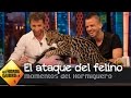 Cristina Pedroche sorprende a Dabiz Muñoz - El Hormiguero 3.0