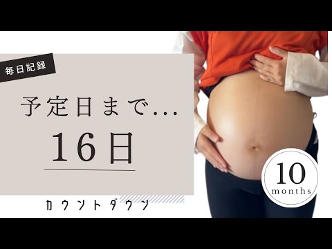 【臨月妊婦】出産予定日まで残り....『16日』｜毎日投稿