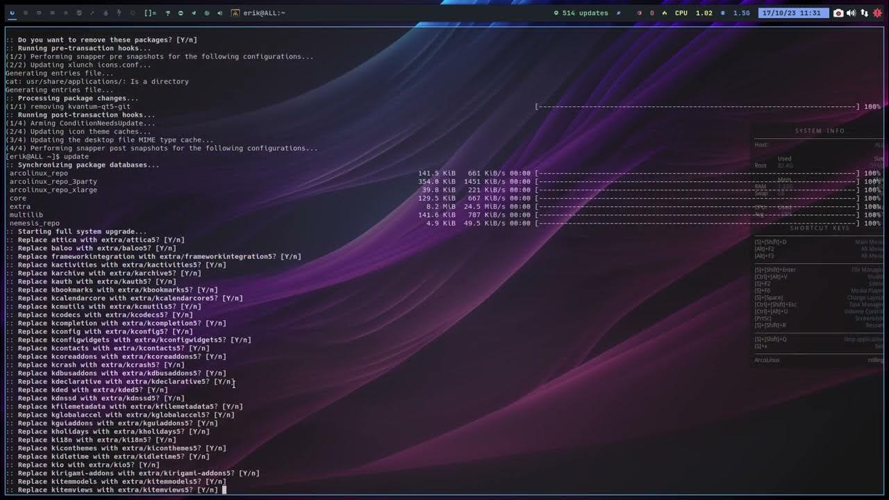 ArcoLinux 3631 Can not update conflicting files kvantum as
