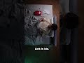 Travel Jet Lag