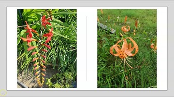 Introduction of Instructor