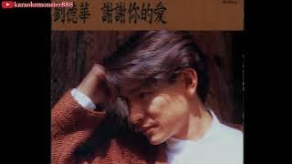 Xie Xie Ni De Ai 謝謝你的愛 - Andy Lau (karaoke - no vocal)