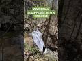 Sheep Cave and Waterfall at Virgin Falls State Natural Area in White County, Tennessee