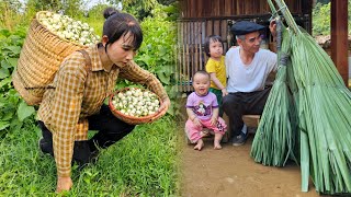 120 Days: Trying to work with grandfather - Better life - Gardening - Cooking | Ly Phuc Binh