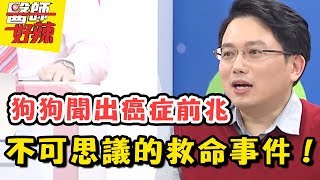 超神奇！狗狗聞出癌症前兆？！連醫師也覺得驚訝的救命事件？！醫師好辣 EP303 一刀未剪版 魏智偉 小鐘｜精選