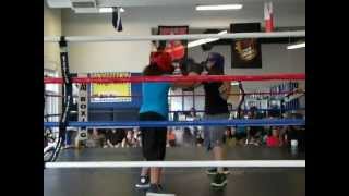 Flower Fight Exhibition At A1 Boxing Round 1