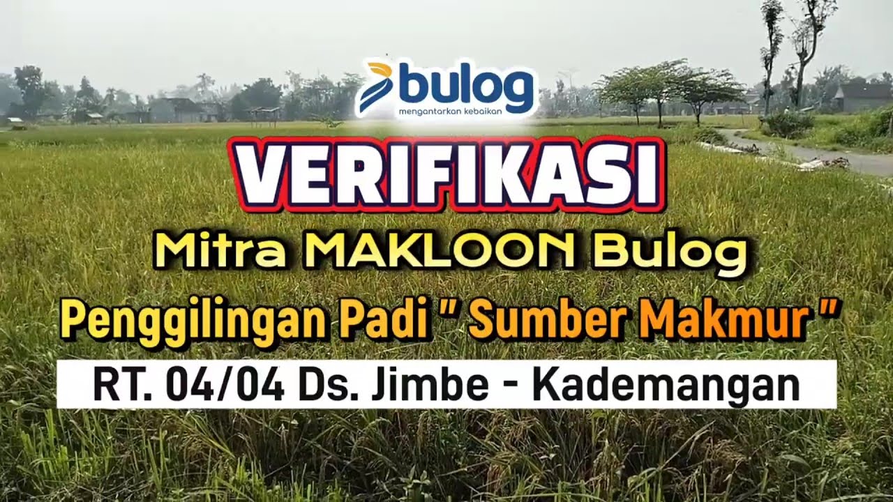MAKLOON Bulog | Ds. Jimbe Kademangan