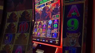 🎥 Watch now and see if the Buffalo magic stayed alive!#BuffaloSlots #Casino #LuckyHat #CashenChips
