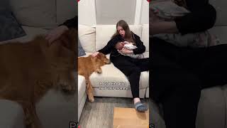 Cam Funny Moments Compilation