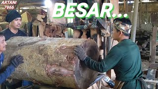 Amazing sawmill wood..KAYU BESAR JENIS MERAH.SIMAK TERUS GAESS