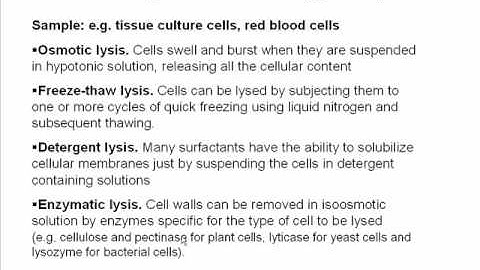 Tips for protein extraction