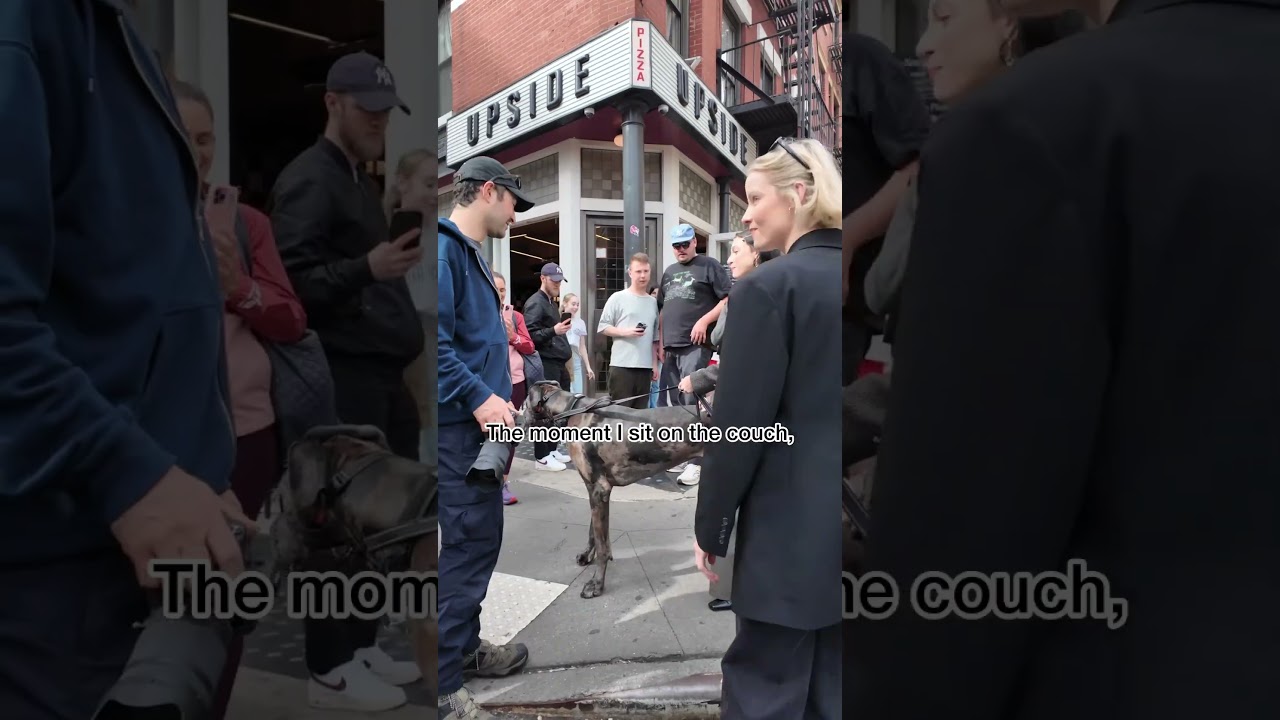 Topino the little mouse