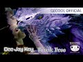 Dee Jay Key - Break Free [Official Video]