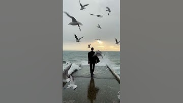 اكتب شئ تؤجر عليه 🤍🤍 تلاوه مريحه للقلب