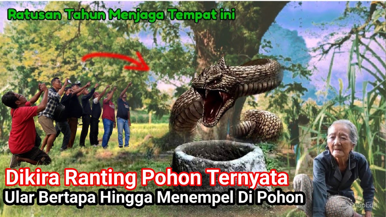 Viral !!Nyata Kejadian DiNganjuk Jawa Timur Dikira Warga Ranting ...