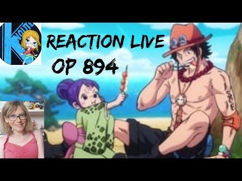 One Piece 894