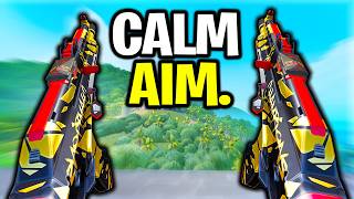 I Tried the Viral CALM AIM Method 6 Months Later