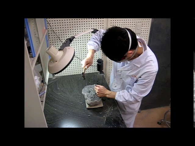 化石のクリーニング - YouTube