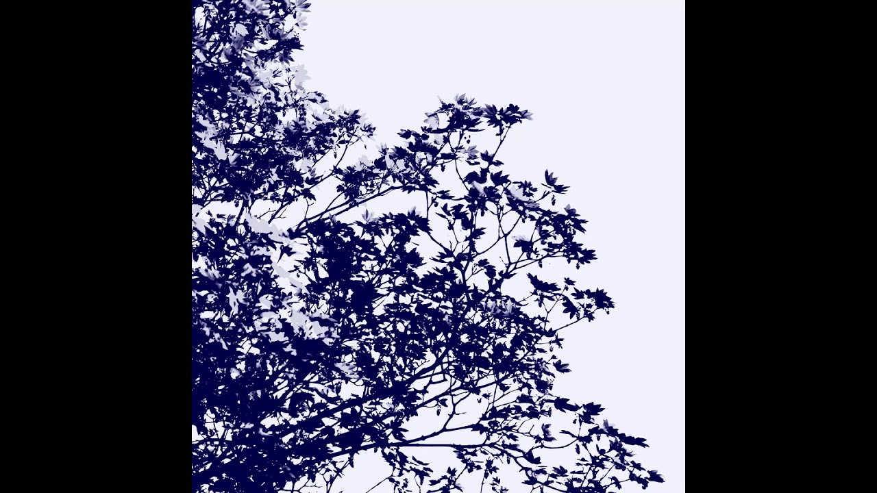 Glaswald - Ice Flowers (Full Album 2020)