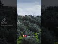 ديرتي الحبيبة يازينها 