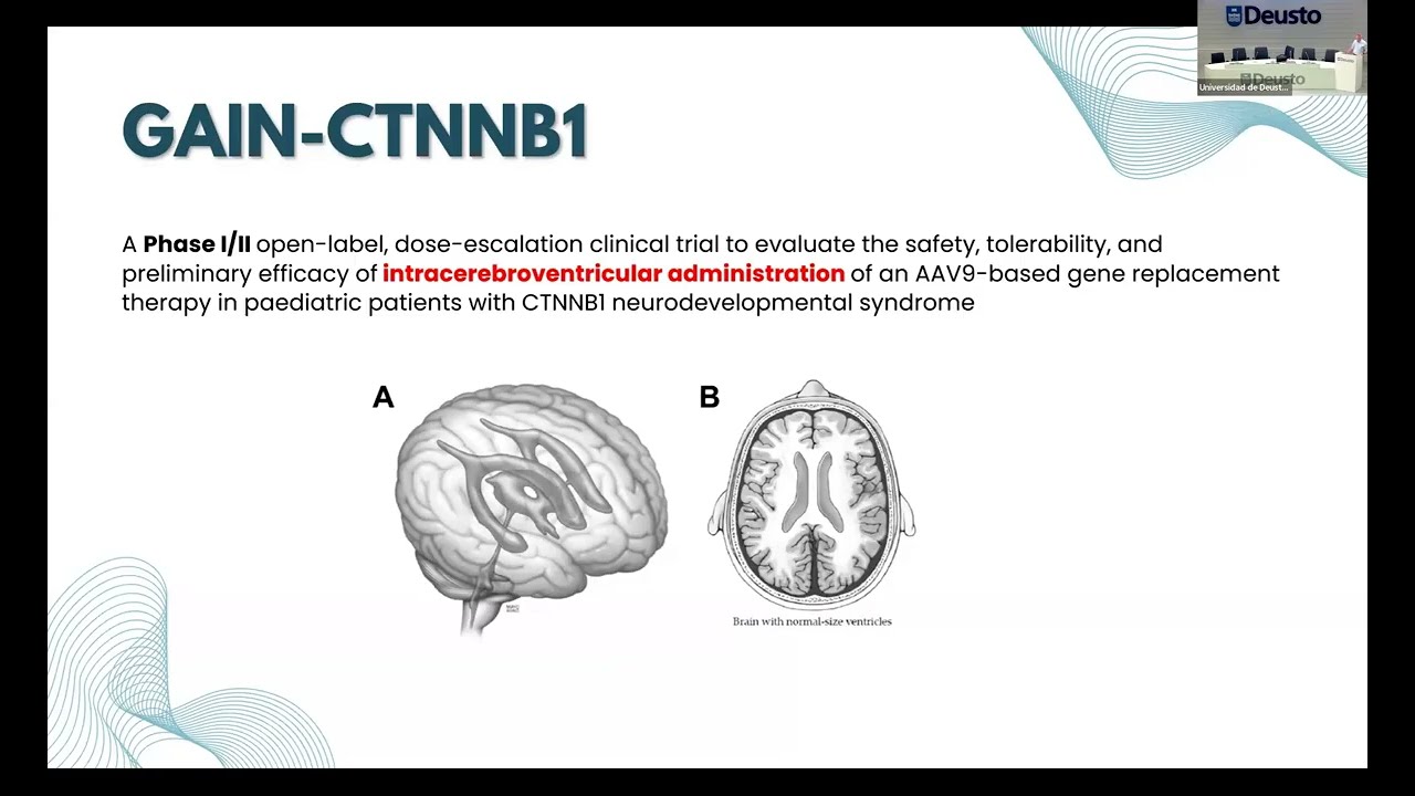 GAIN trial: A phase I/II open-label clinical trial in patients with CTNNB1 Syndrome