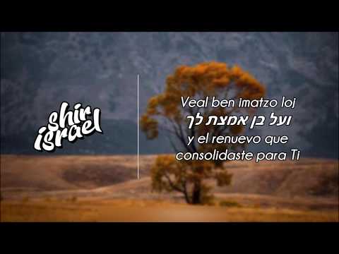 Habet הבט - Mordechai Ben David מרדכי בן דוד - (ESPAÑOL)