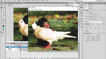 To make Magnifier Animation using mask technique -19- Flash Animations