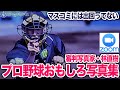 ZOOM出演！審判写真家・林直樹所有のマスコミには出回ってないプロ野球おもしろ写真集