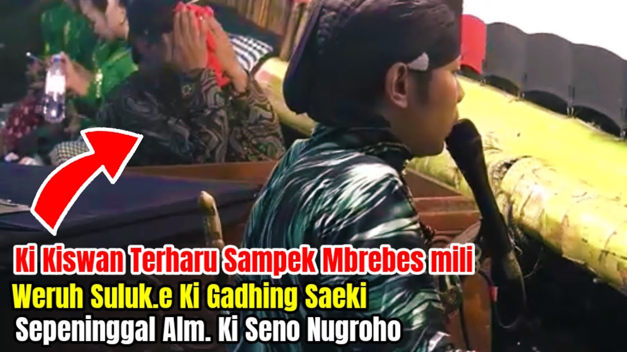 NANGIS❗️KI KISWAN TERHARU MBREBES MILI WERUH SULUK.E KI GADHING SAEKI