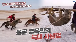 Wolf Hunting in Mongolia