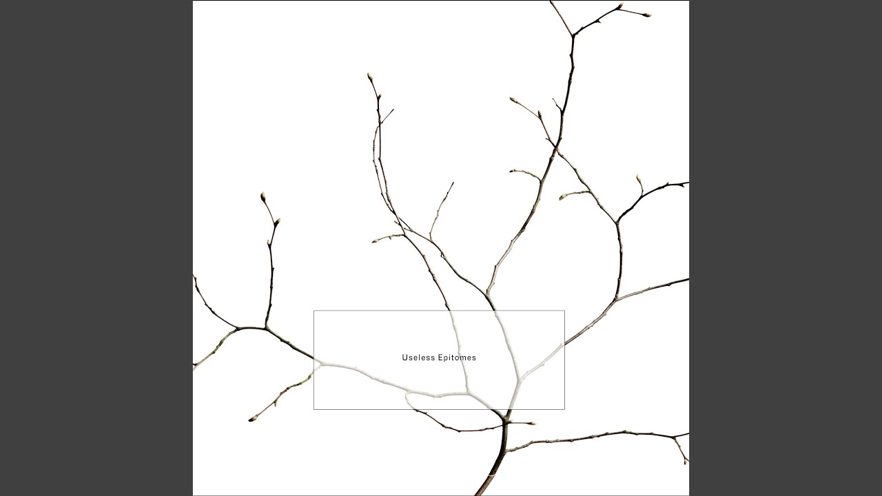 Watch Nonadaptive layers 5 on YouTube Watch Nonadaptive layers 5 on YouTube