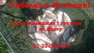 Рибалка в Нетішині. Ловля підлящика і густери.