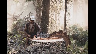 200ft + Tree Felling by expert logger In California Mountain Wilderness (HD) 200ft Jeff Pine