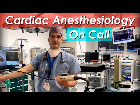 Day in the Life of an Anesthesiology Resident on Cardiac Anesthesia Call
