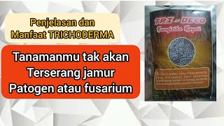 TRICHODERMA || Manfaat dan penjelasan trichoderma dan cara pemakaianya
