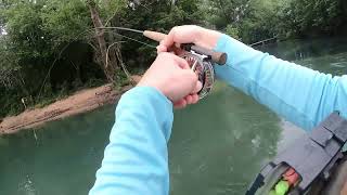 Niangua River Float - Day 1