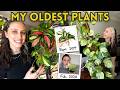 My Oldest Plants 🌿 8 Years Later!