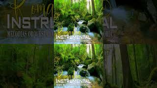 Musica De Los 60 70 80 / Las Melodias Orquestadas Mas Bellas / Instrumentales de Oro Saxo y Guitarra