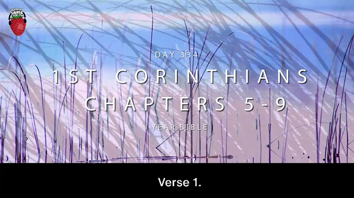One Year Bible Day 334 | 1 Corinthians Chapters 5-9  | NIV Audio Bible