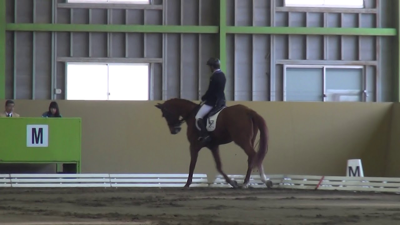 18 Fuji Spring Horse Show Festival M1課目馬場馬術競技2年名倉賢人桜灯 Youtube