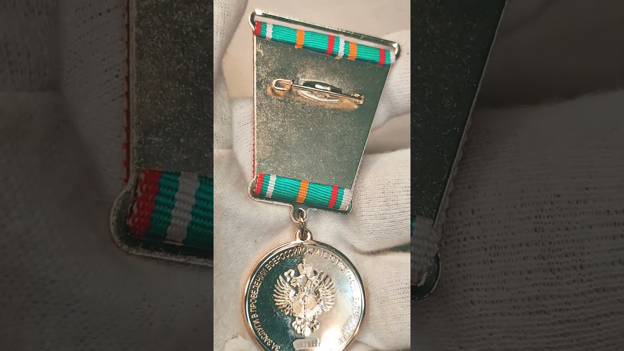 Медаль "За заслуги в проведении Всероссийской переписи населения 2010". 