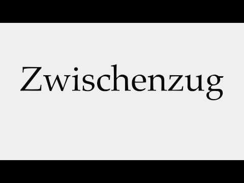 Other-Wordly, pronunciation, 'zUg-zwang submitted by