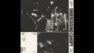 Bluestaeb & S. Fidelity Present Underground Canopy (full album)