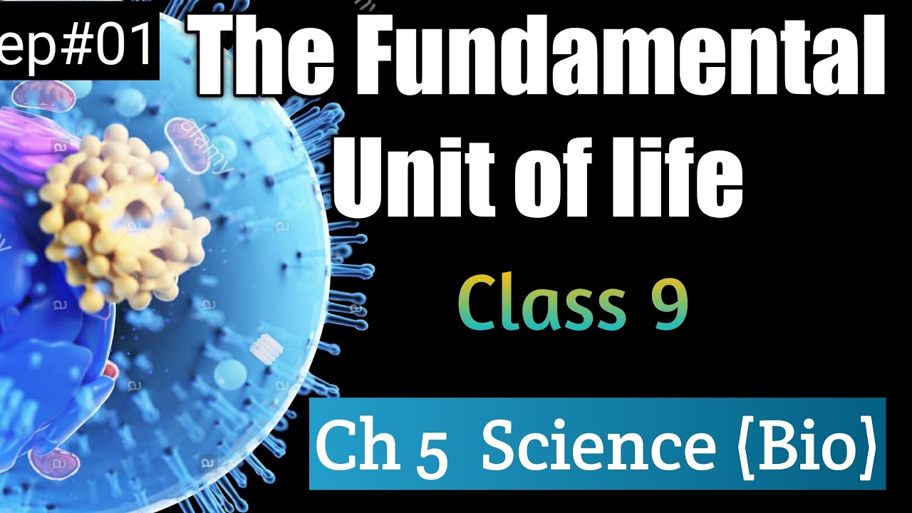 The fundamental unit of life : CELL ch 5 class 9 biology NCERT cbse ep ...