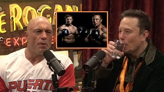 Joe Rogan & Elon Musk - Mark Zuckerberg Chicken out of Fighting Elon? Is it Still Happening?