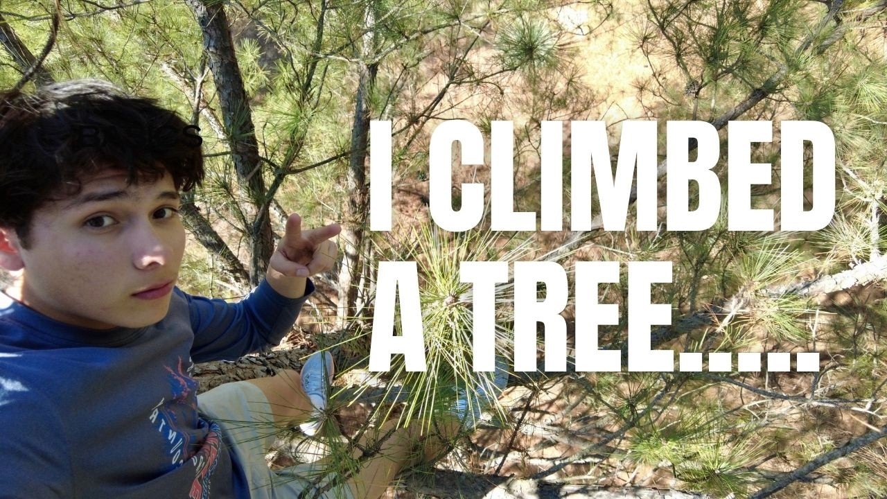 I Climbed A Tree.... 🌲
