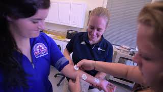 Brevard College Exercise Science