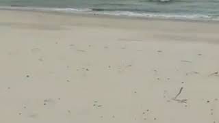 Brighton Beach, Sydney, Australia