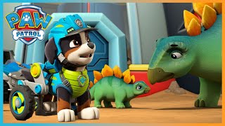 PAW PATROL - CHASE SAVES A SILLY SQUID FROM A MUSEUM AND MORE!